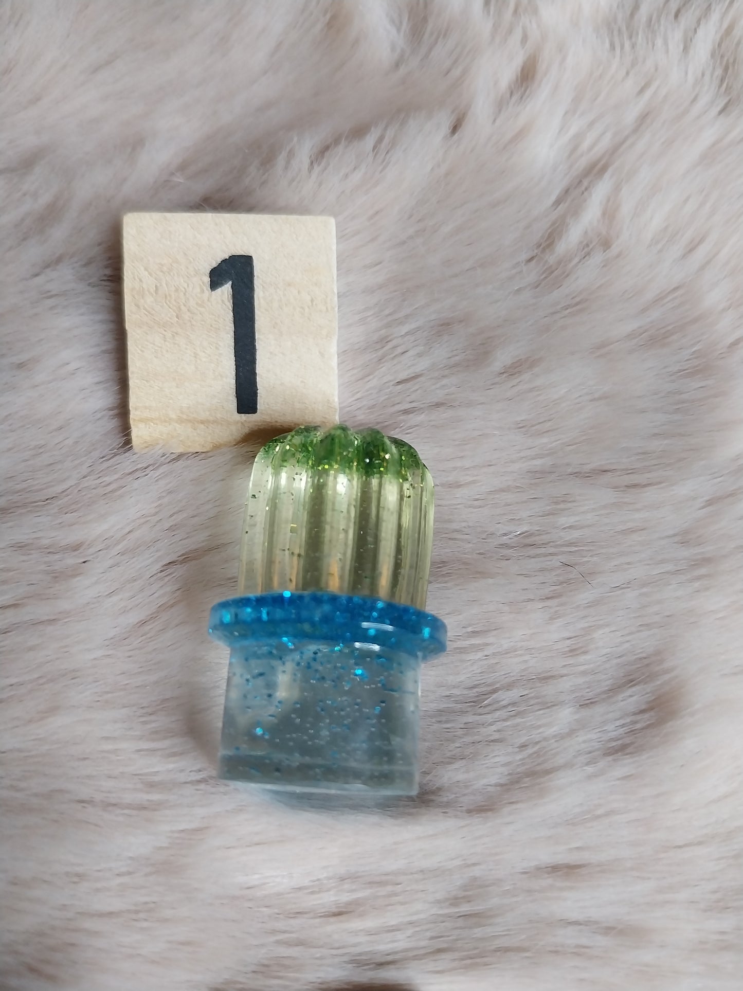 Magnet cactus