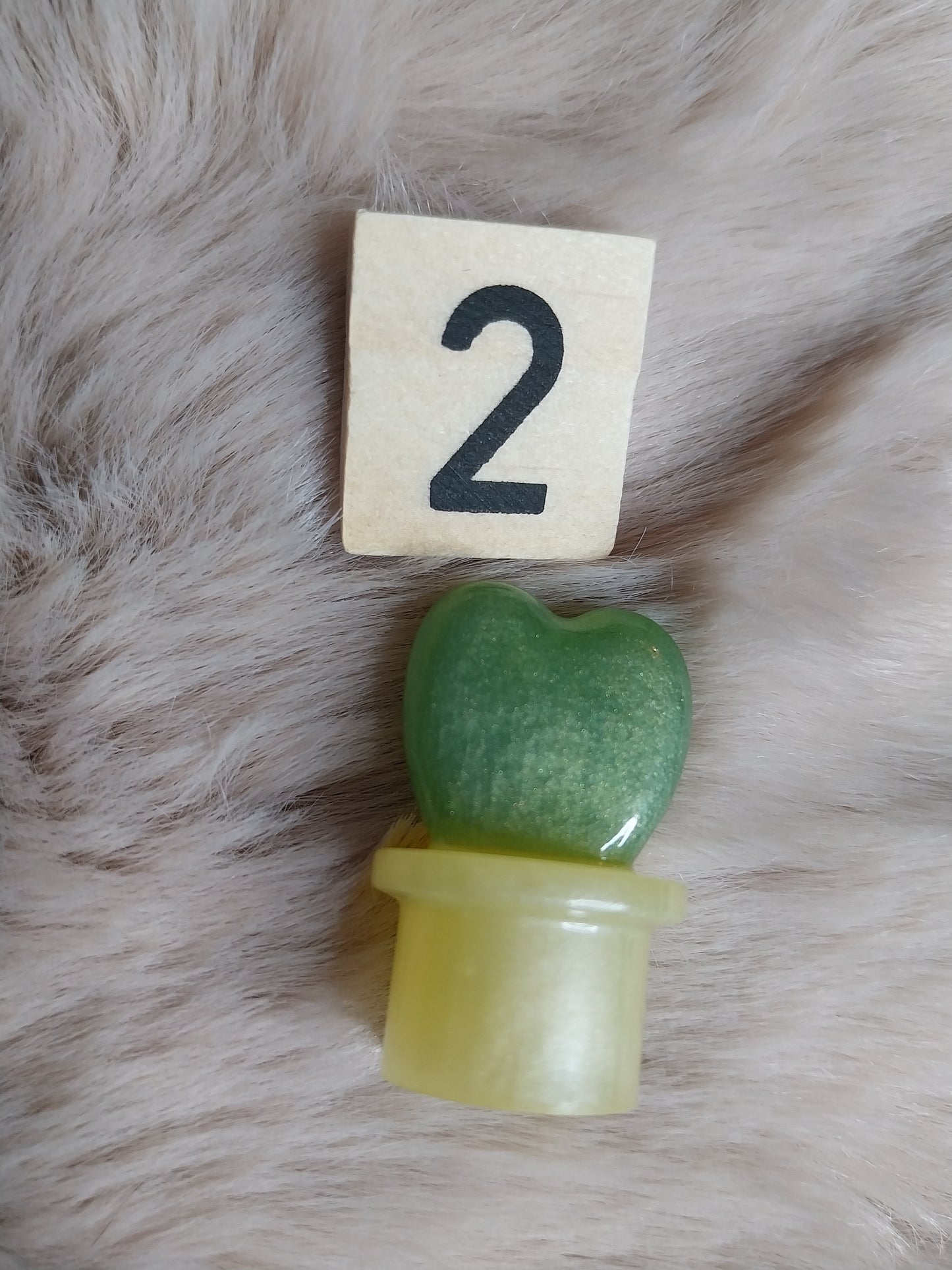 Magnet cactus