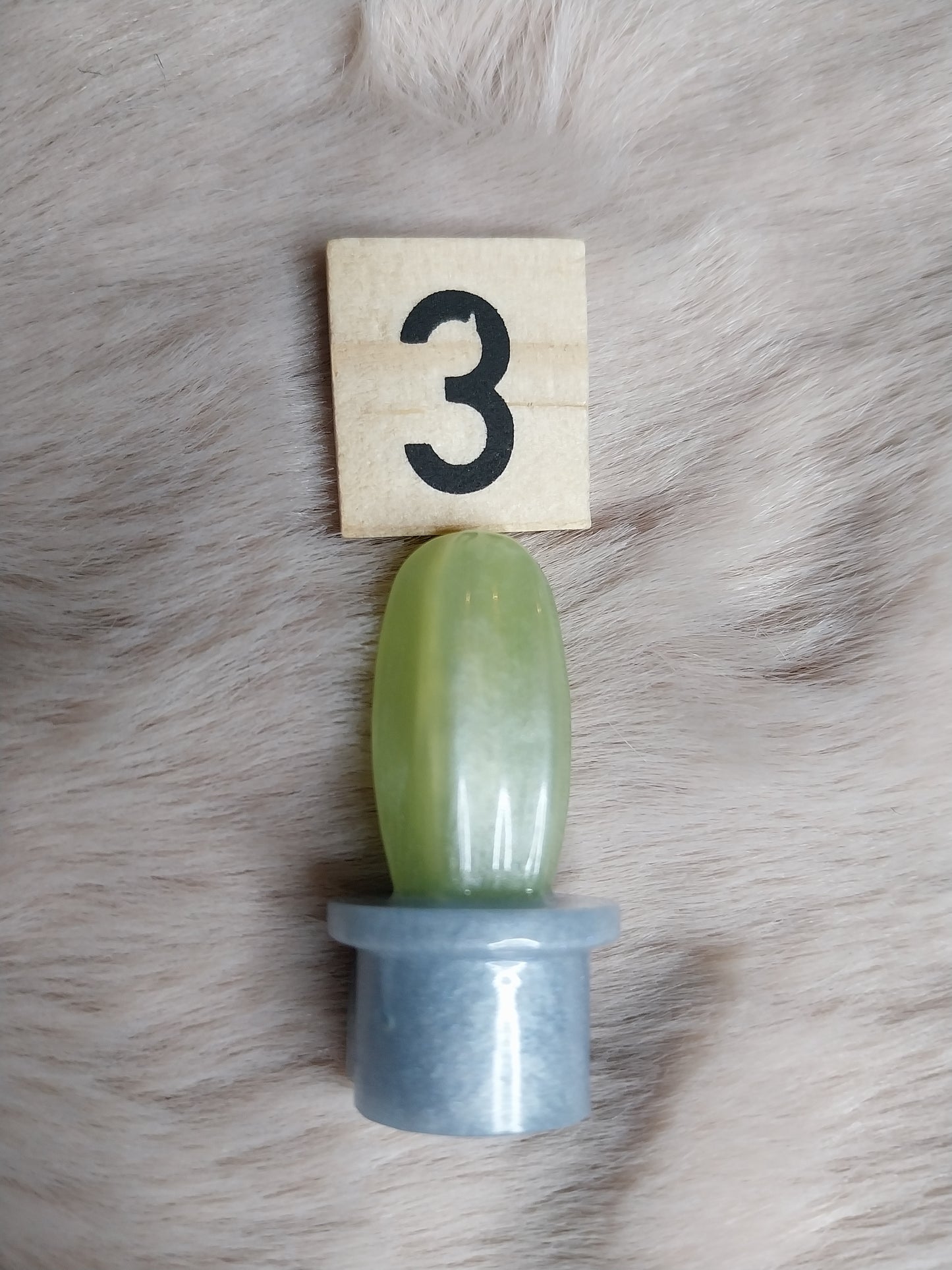 Magnet cactus