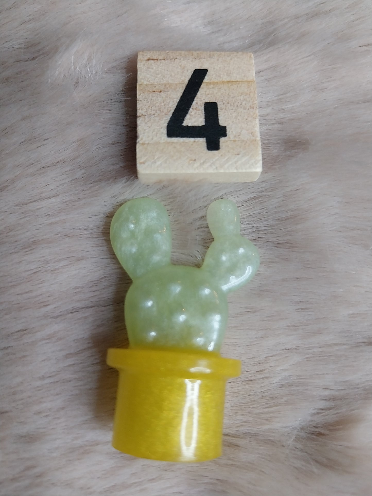 Magnet cactus