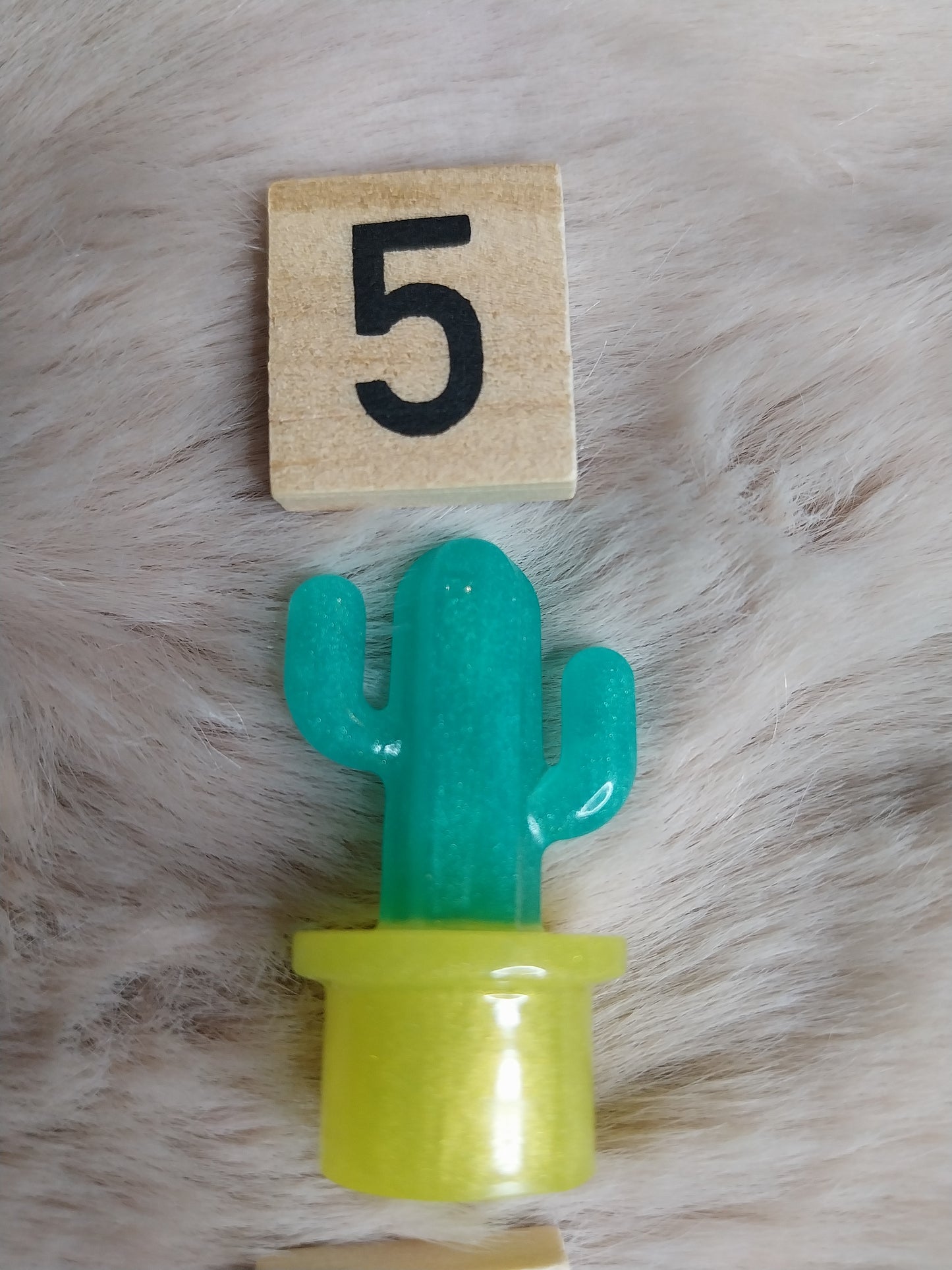 Magnet cactus