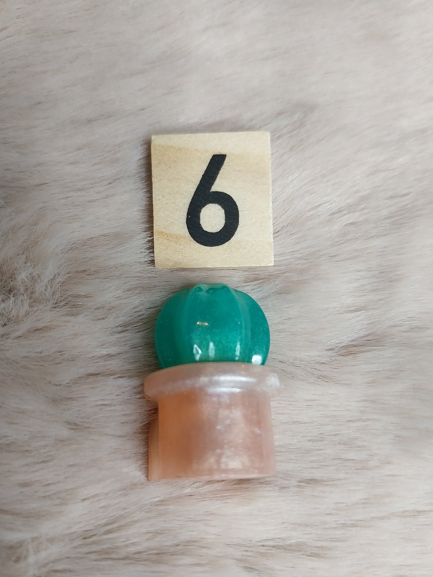 Magnet cactus
