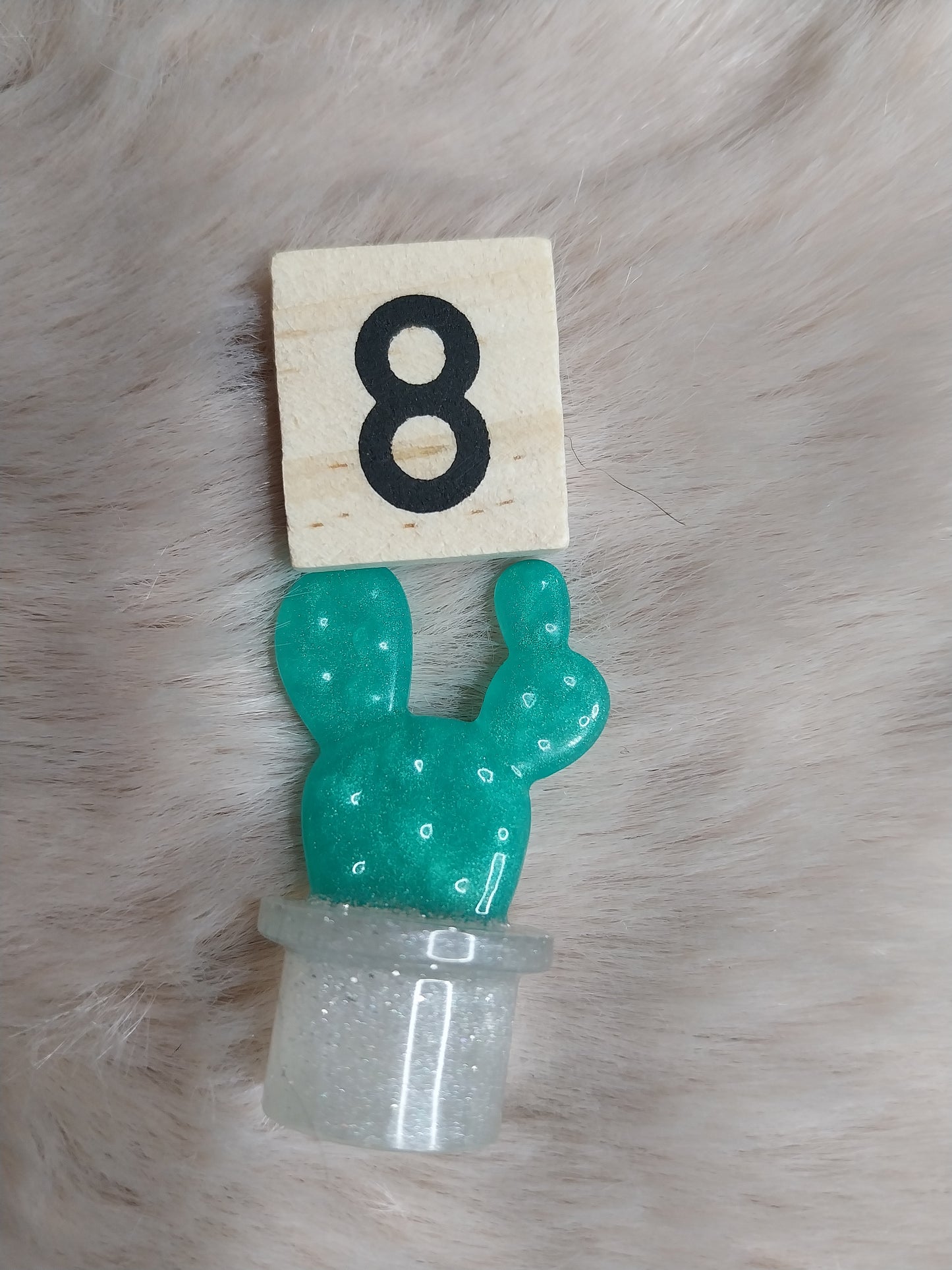 Magnet cactus