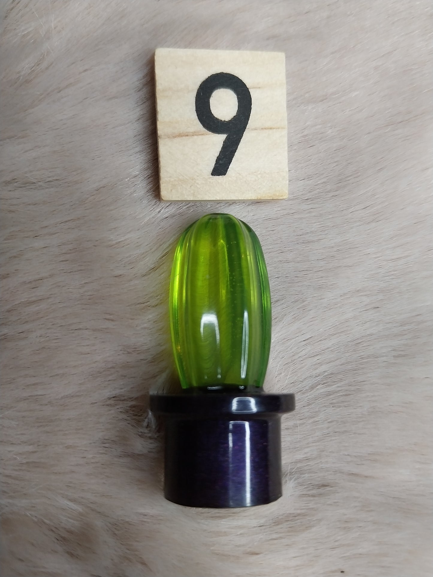 Magnet cactus