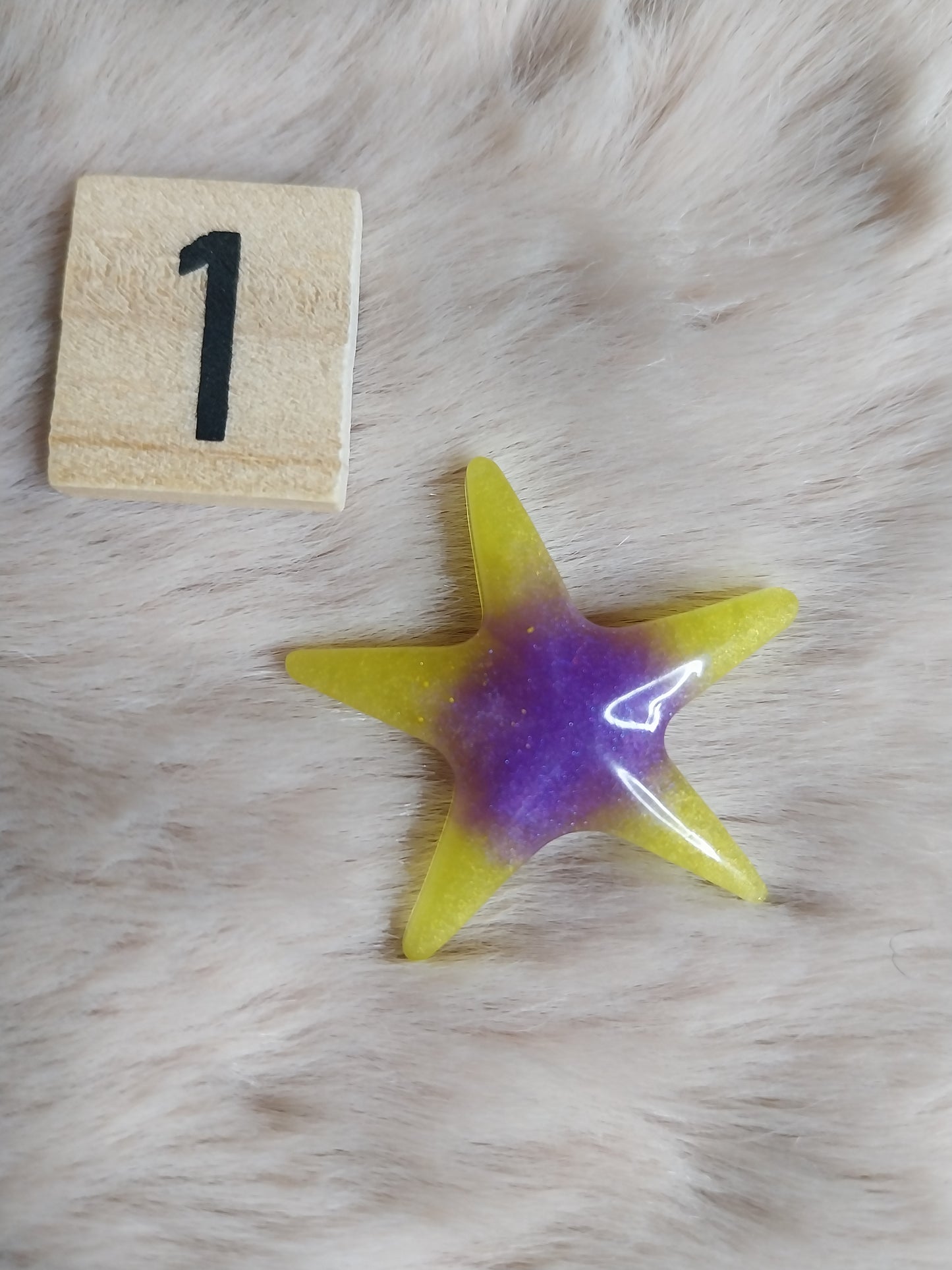 Magnet étoile de mer