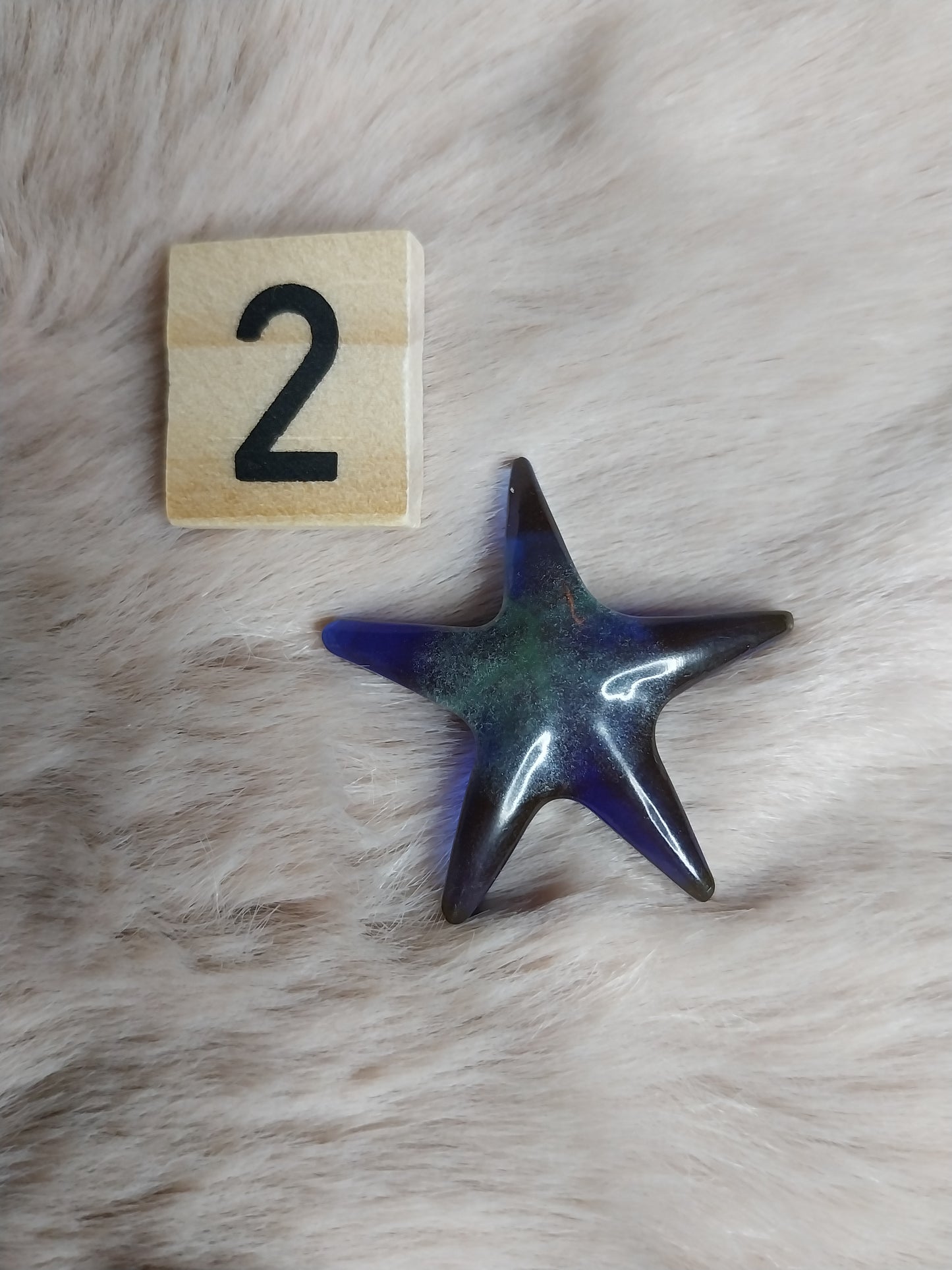 Magnet étoile de mer