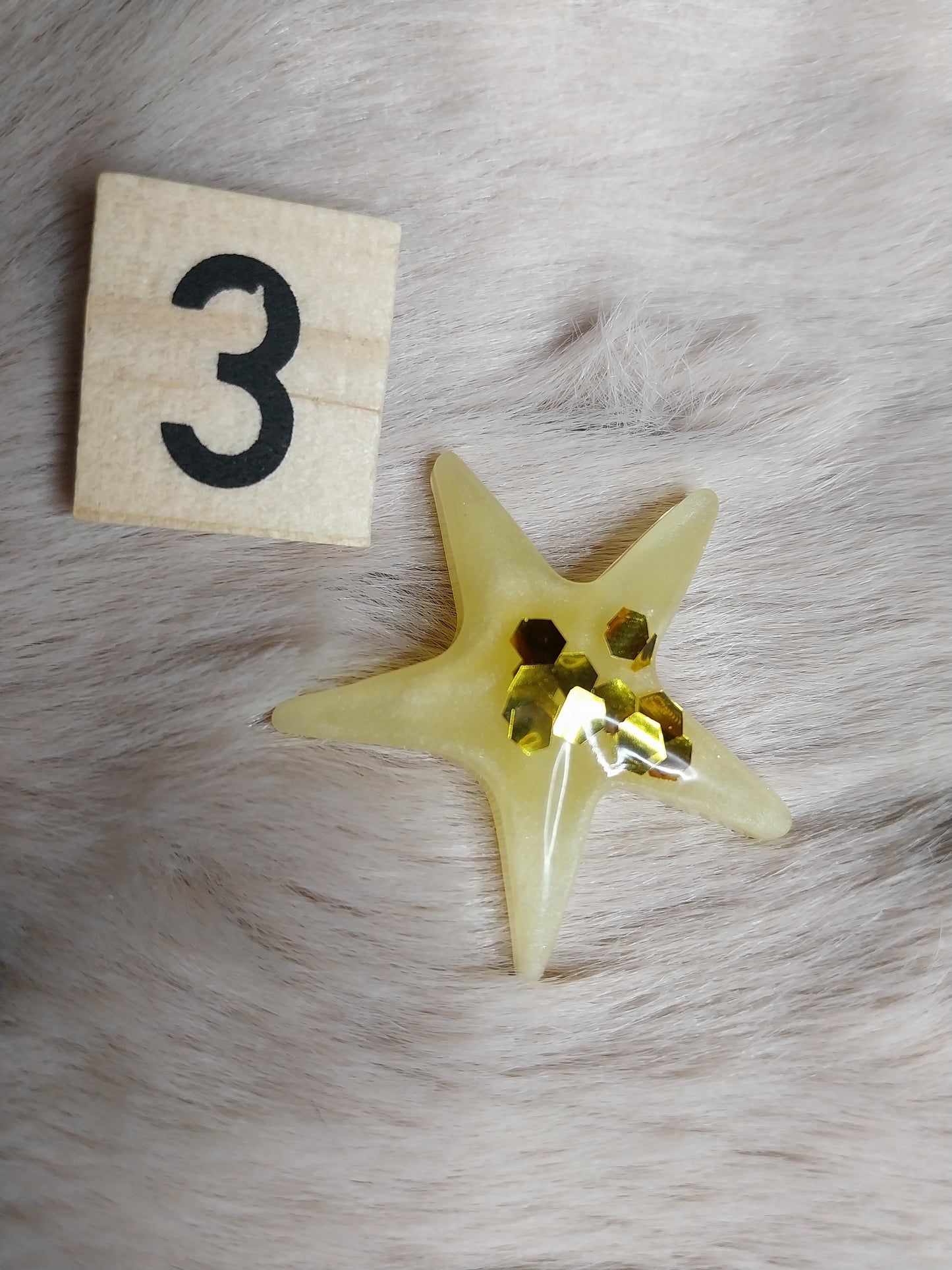 Magnet étoile de mer