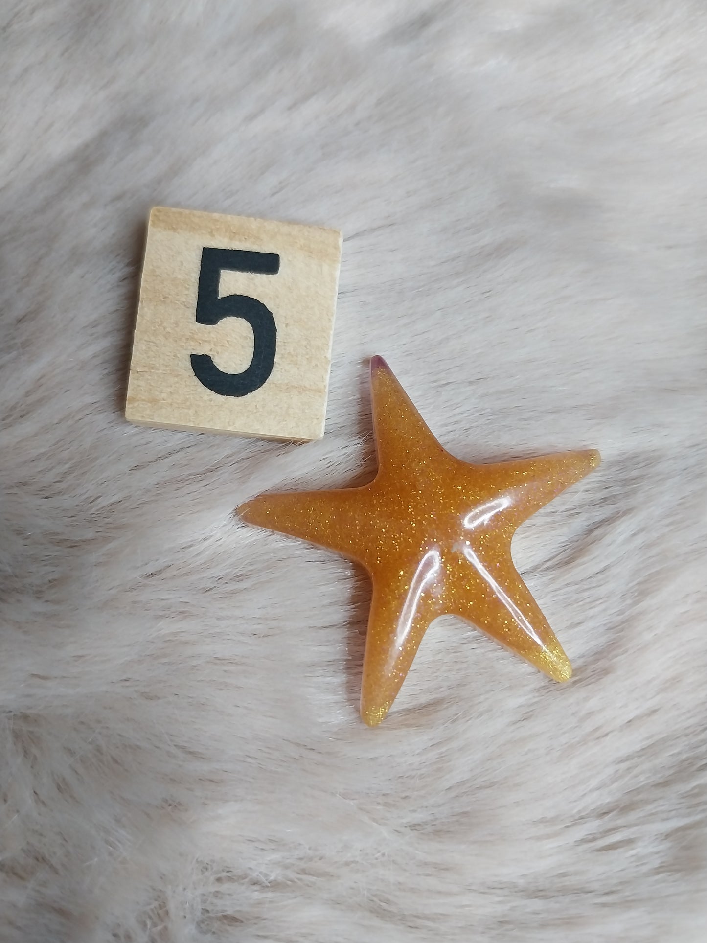 Magnet étoile de mer